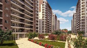 PRESTİJ OPTİMUM