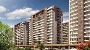 PRESTİJ OPTİMUM
